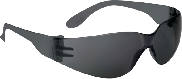 Picture of Glasses Gray Anti-Fog Bravafuab